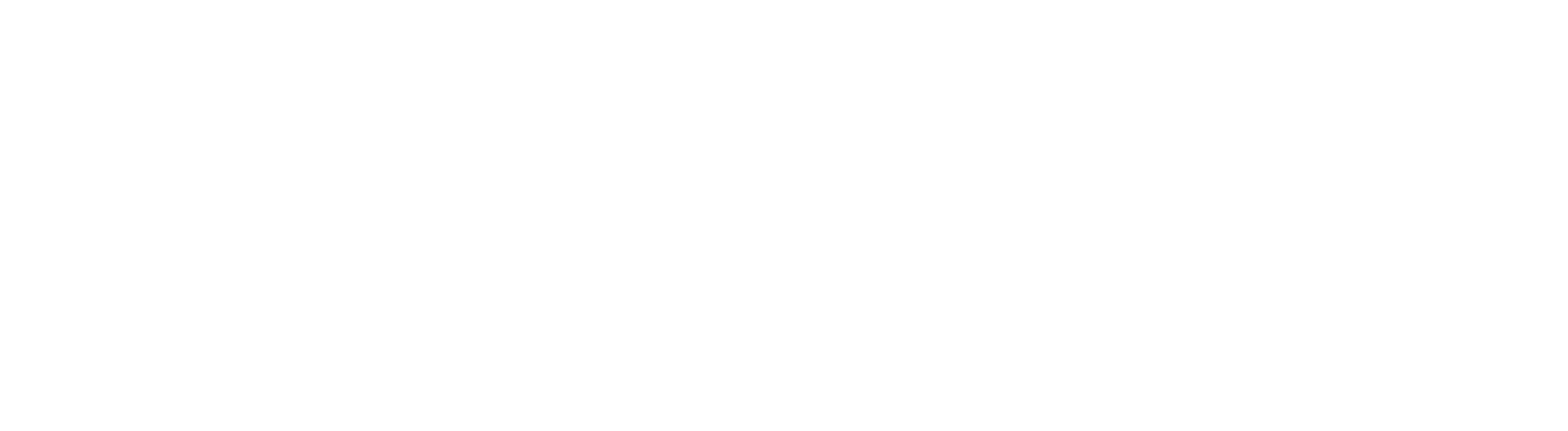 Shepherd Investment Management LLC